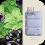 FUMMO Magnum 8000 Puffs Disposable Vape in Dubai UAE - Image 2