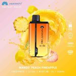 Hayati Ultra Pro 15000 Puffs Disposable Vape in UAE - Image 9